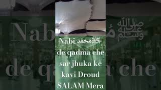 SalamSaba dare Mustafa Darood o salam mera [upl. by Cerallua]