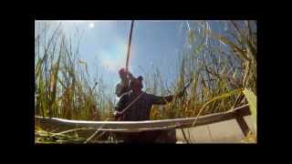 Harvesting Wild Rice [upl. by Carlstrom]