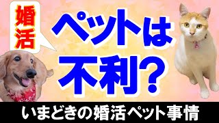 【婚活アドバイス】結婚したらペットを飼いたい！は不利⁈ [upl. by Un]