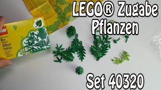 LEGO Zugabe quotPflanzenquot aus Zuckerrohr Set 40320 [upl. by Angela878]