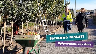 Johanna testar Sjöparkens växthus i Kumla stadspark [upl. by Yetta]