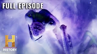 Ancient Aliens INSECT GODS OF DEEP SPACE S7 E7  Full Episode [upl. by Ragouzis912]