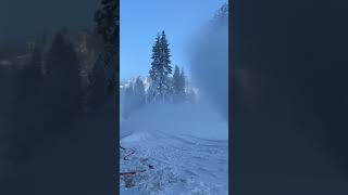 Fresh November Snow at Palisades Tahoe [upl. by Nyvrem]