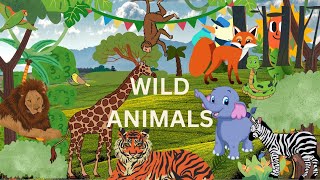 Wild animal Names  Learn Wild animal name in English  Animals Name Basic English Learning [upl. by Metah]