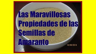 Las Maravillosas Propiedades De Las Semillas De Amarantomedicinal Properties Of Amaranth [upl. by Ayet]