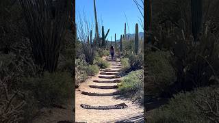 Saguaro National Park [upl. by Abrahamsen]