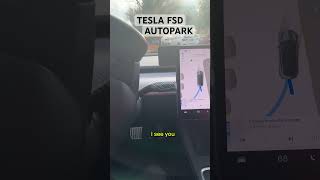 Tesla FSD AUTOPARK Feature tested tesla fsd autopark model3 modelyev autonomous electric [upl. by Gisela]