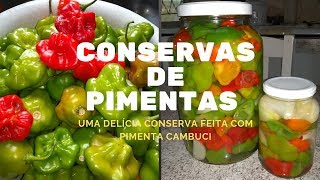 COMO FAÇO MINHAS CONSERVAS DE PIMENTA CAMBUCI PARA APROVEITAR A COLHEITA [upl. by Erdnaxela]