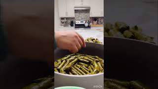 The Art of Stuffed Grape Leaves [upl. by Elum584]