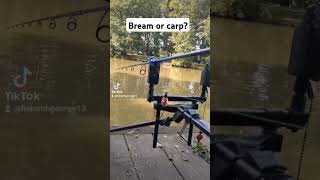 Bream or carp fishing carp breamfishing fishrod [upl. by Irem]