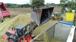 Zeitdruck in der Landwirtschaft dem wirken wir entgegen DAS SCHOCKT Lohnunternehmer im Großeinsatz [upl. by Erreipnaej612]