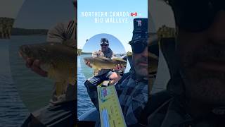 Ontario Walleye Tournament fishing [upl. by Anirbes625]