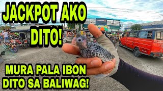 NAKA BILI AKO NG BAGONG IBON SA BALIWAG [upl. by Ettigirb]