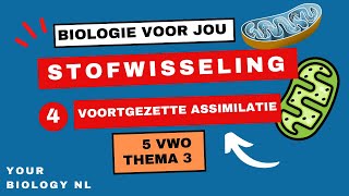 5 vwo  Stofwisseling  4  Voortgezette assimilatie amp vouwing van eiwitten [upl. by Brittne]