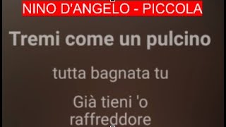 Nino DAngelo Piccola karaoke [upl. by Seibold]