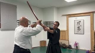 Ogawa Ryu  小太刀 Kodachi Shidoshi Jordan Augusto  During class [upl. by Kotz646]