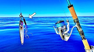 Reef Fishing with Micro Jigs in the Gulf of Mexico Multiple Species [upl. by Renata]