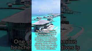 We Went To The Maldives For The CHEAPEST Prices Ever [upl. by Atnohs]