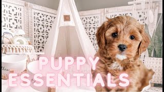 PUPPY ESSENTIALS YOU NEED  everything I bought for my CAVAPOO puppy cavapootheo [upl. by Meredeth341]