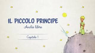 IL PICCOLO PRINCIPE di Antoine de SaintExupéry  Capitolo 1  Audiolibro [upl. by Latsyek]