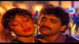 Neti Siddhartha Telugu Movie Songs  Neeve Kada Naa Sweetu  Nagarjuna  Sobhana [upl. by Evangelina]