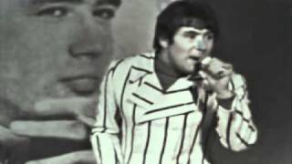 THE TROGGS  WITH A GIRL LIKE YOU FRENCH TV 66 [upl. by Eberta717]