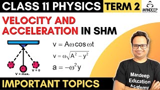 Velocity And Acceleration in Simple Harmonic Motion SHM Derivation Class 11 Physics Term 2 [upl. by Adnilema]