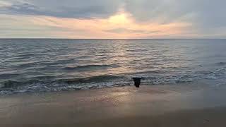 beach in thrissur in chavakkad [upl. by Nanny825]