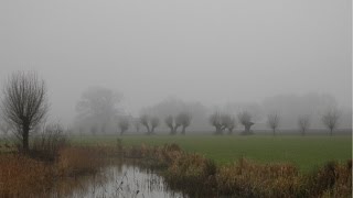 Weerbericht donderdagmiddag Morgen van tijd tot tijd zon [upl. by Booker]