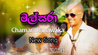 Malsara  මල්සරා  Chamara Ranawaka  New Reggae Song 2023 [upl. by Sivert816]