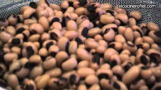 EL COCINERO FIEL  221  ENSALADA DE ALUBIAS BLANCAS BLACK EYED PEAS [upl. by Ardnuaed]