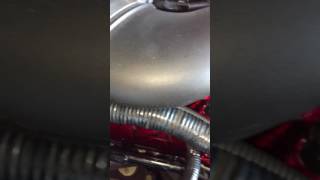 2006 Mustang GT Exhaust header leak [upl. by Aratas791]