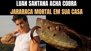 Luan Santana acha cobra jararaca em sua casa  Biólogo Henrique o biólogo das cobras LuanSantana [upl. by Calesta]