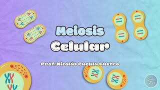 Meiosis en 5 minutos [upl. by Valentine]