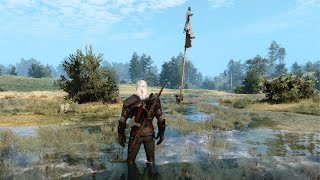 When developers are inspired they add things like this  Witcher 3 [upl. by Rudy547]