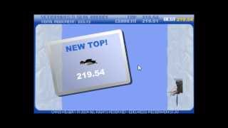 Lets Play Yeti Sports  Part 3  Seal Bounce  Flash Game  Kostenlos  Download  Browsergame [upl. by Meibers75]