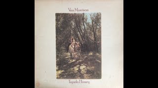 Van Morrison – Tupelo Honey A5 Warner Bros Records – WS 1950 US 1971 [upl. by Mendoza]