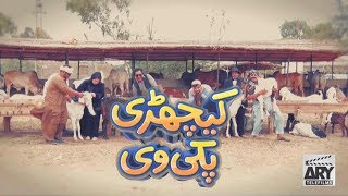 KICHRI PAKI WAYI  Eid Special  ARY Telefilms [upl. by Rufina]