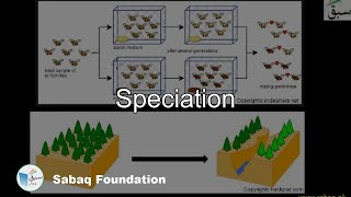 Speciation Biology Lecture  Sabaqpk [upl. by Lynd]