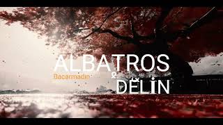 Albatros ft Delin  Bacarmadın [upl. by Lonnie]