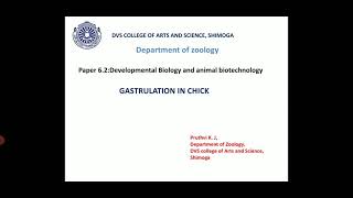 Gastrulation in chick [upl. by Eseeryt]