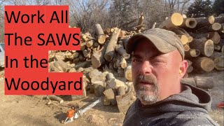 Use all the Chainsaws in the Woodyard firewood [upl. by Anival]