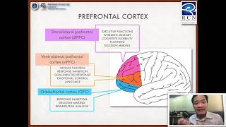 Foundation of Neuroscience  152 Prefrontal Cortex Executive Functions and Social Cognition [upl. by Tucker]