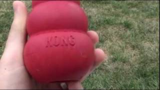 Kong Classic Dog Toy Review [upl. by Ahsitel]