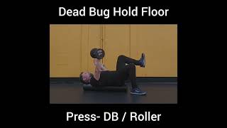 Dead Bug Hold Floor Prrss DB  Roller [upl. by Nnaeirrac]