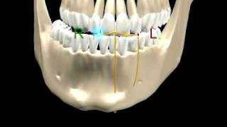 MANDIBULAR MOVEMENTS  1 [upl. by Anon]