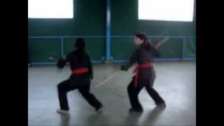 Nindo Hojutsu Ryu Hombu Dojo [upl. by Cyprian79]