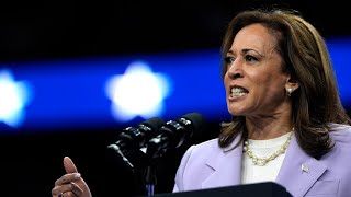 ‘Far left radical loon’ Warnings over a potential Kamala Harris win [upl. by Chae388]