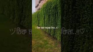 প্রত্যেক মুসলিমকে আল্লাহ্ জিজ্ঞাসা করবেন salatabutohaadnan shorts [upl. by Ecinehs]