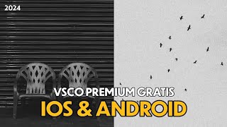 Cara Membuka Semua Filter Premium VSCO Gratis 2024  iOS amp Android [upl. by Eneloj942]